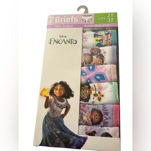 New Disney Ecanto  briefs